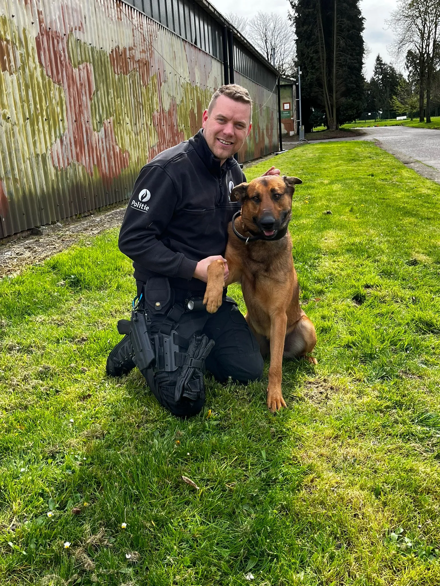 Marco Is De Eerste Dual Purpose Hond Van PZ Westkust Lokale Politie marco-is-de-eerste-dual-purpose-hond-van-pz-westkust-lokale-politie